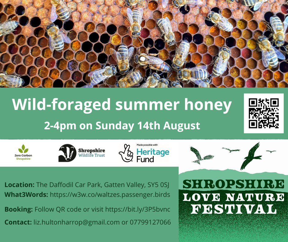 Honey event poster