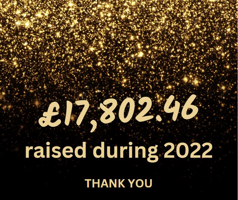 Total raised during 2022
