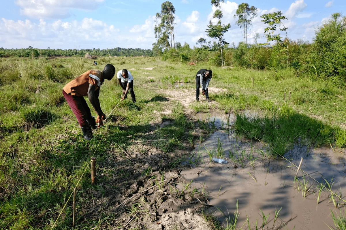 KAASO staff working on the new piece of land