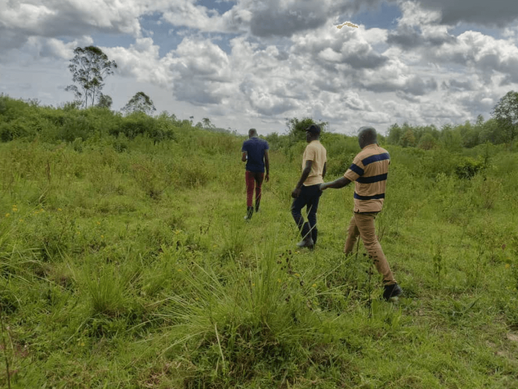 KAASO staff members surveying the land, December 2024 KAASO staff members surveying the land, December 2024