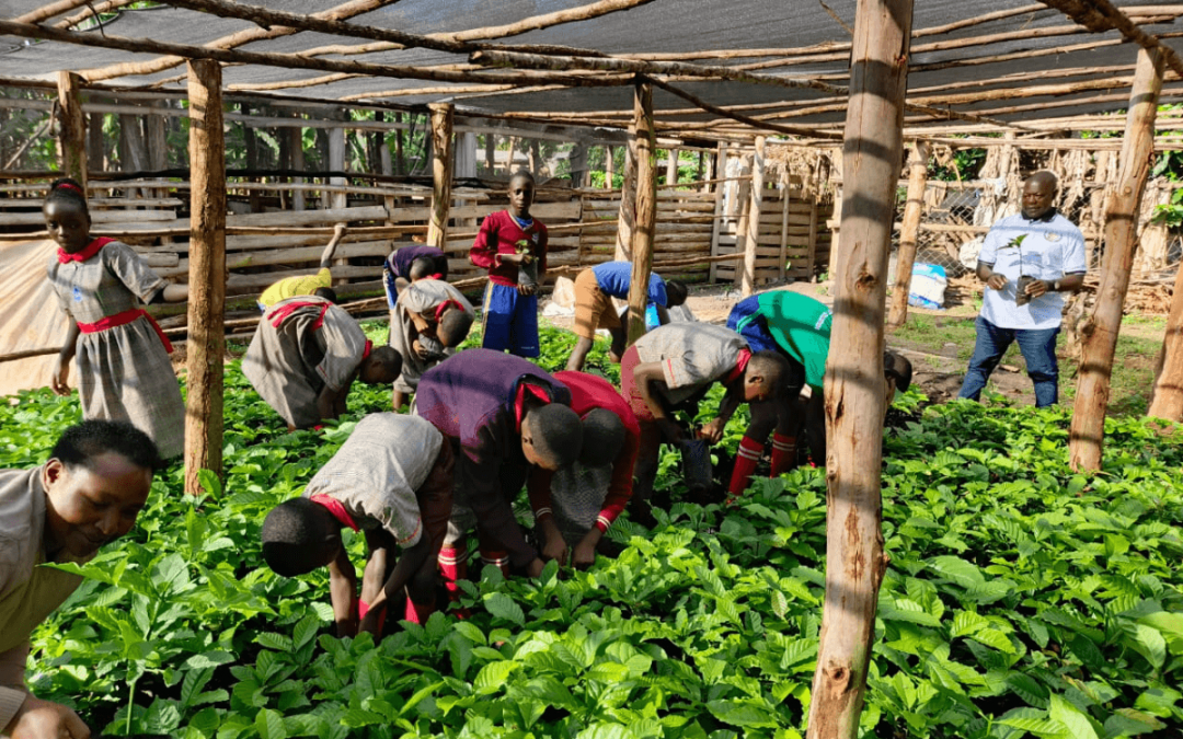 What’s new at KAASO? Fences Up, Ponds Dug, Maize Planted! 🌽🌿